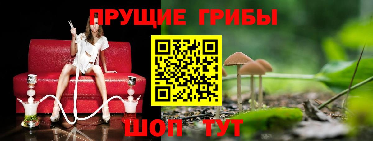 Псилоцибиновые грибы MAGIC MUSHROOMS Минеральные Воды